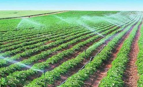大鸡巴肏骚逼视频农田高 效节水灌溉